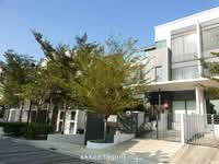 For Sale - Grove @ Lake Fields