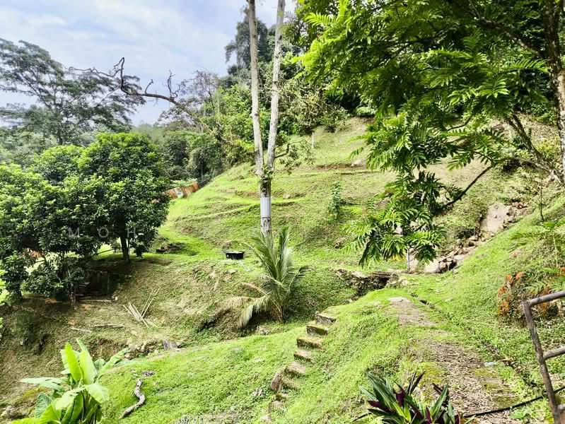 Agricultural Land for Sale in Ampang (Selangor) - Mohd Aizat Saiful Bahri - Exterior - PropertyGuru.com.my