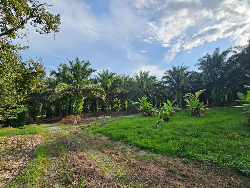 Agricultural Land for Sale in Karak (Pahang) - Francis Ngooi - PropertyGuru.com.my