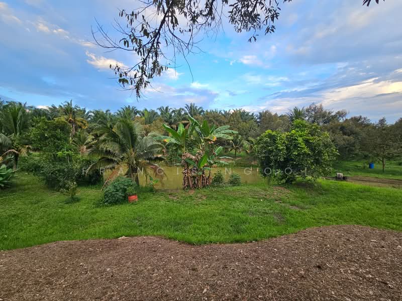 Agricultural Land for Sale in Karak (Pahang) - Francis Ngooi - PropertyGuru.com.my