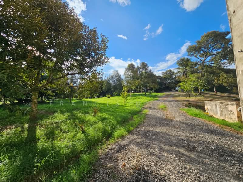 Agricultural Land for Sale in Karak (Pahang) - Francis Ngooi - PropertyGuru.com.my