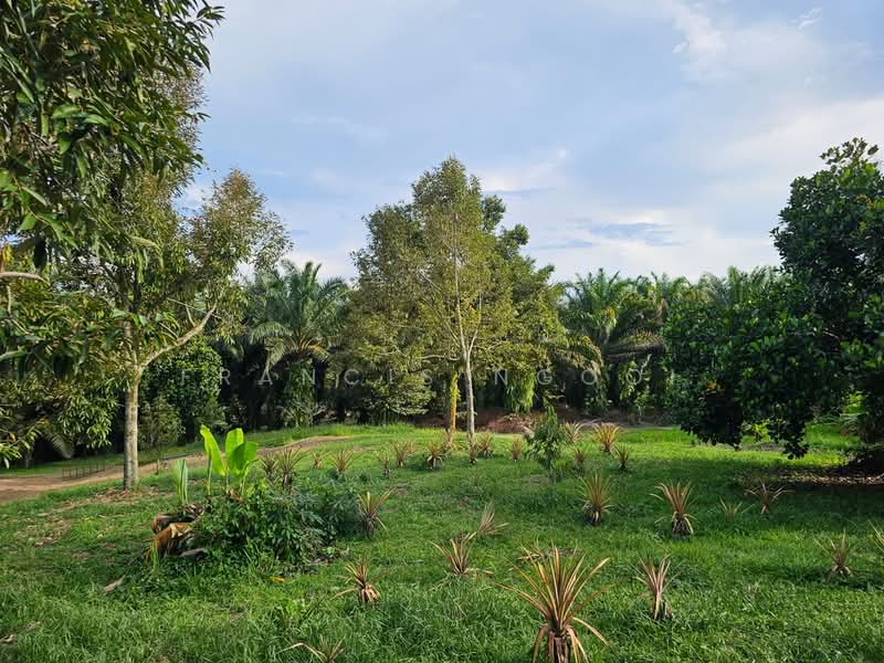 Agricultural Land for Sale in Karak (Pahang) - Francis Ngooi - PropertyGuru.com.my