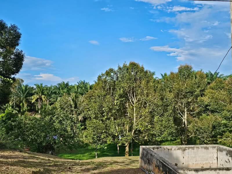 Agricultural Land for Sale in Karak (Pahang) - Francis Ngooi - PropertyGuru.com.my