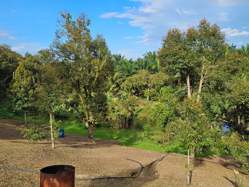 Agricultural Land for Sale in Karak (Pahang) - Francis Ngooi - PropertyGuru.com.my