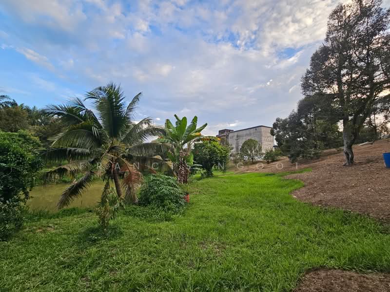 Agricultural Land for Sale in Karak (Pahang) - Francis Ngooi - PropertyGuru.com.my