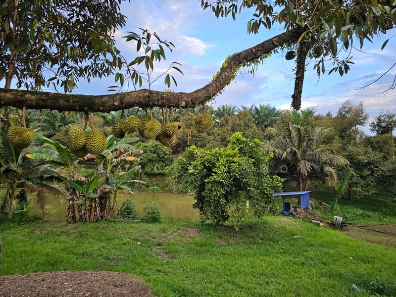 Agricultural Land for Sale in Karak (Pahang) - Francis Ngooi - PropertyGuru.com.my