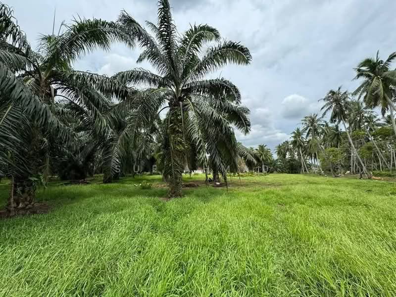 Tanah Pertanian untuk Dijual di Klang (Selangor) - Sue Ahmad - Garden - PropertyGuru.com.my