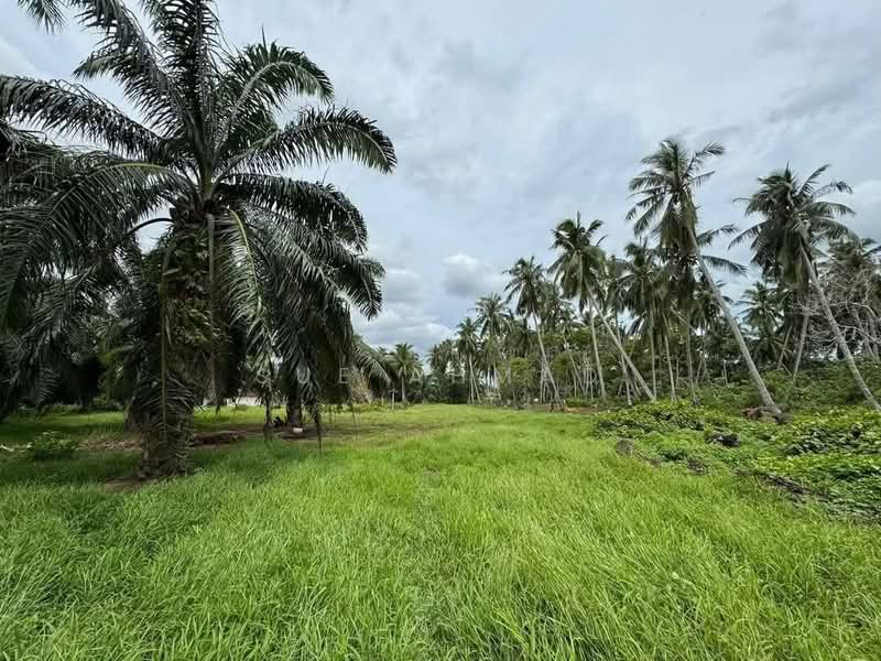 Tanah Pertanian untuk Dijual di Klang (Selangor) - Sue Ahmad - Exterior - PropertyGuru.com.my
