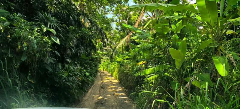 Tanah Pertanian untuk Dijual di Ulu Tiram (Johor) - Alex How - Exterior - PropertyGuru.com.my
