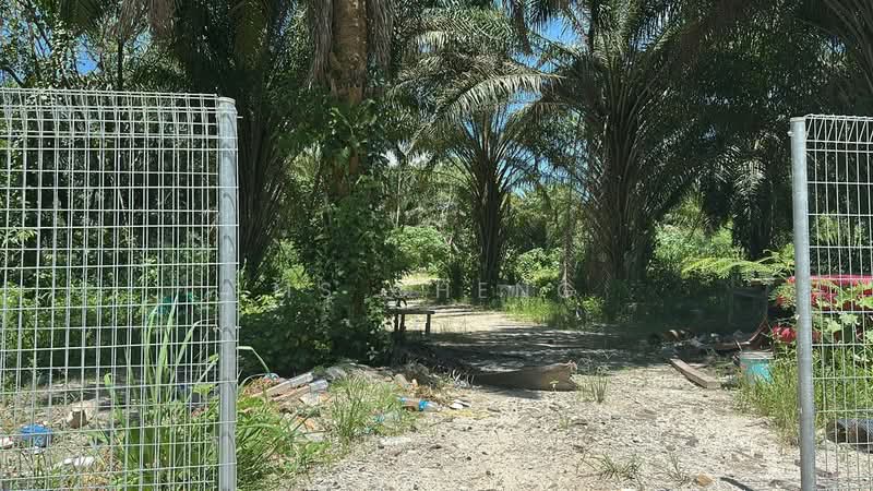 Kilang untuk Disewa di Kawasan Perindustrian Sungai Choh (Serendah) - Ms Cheng - PropertyGuru.com.my