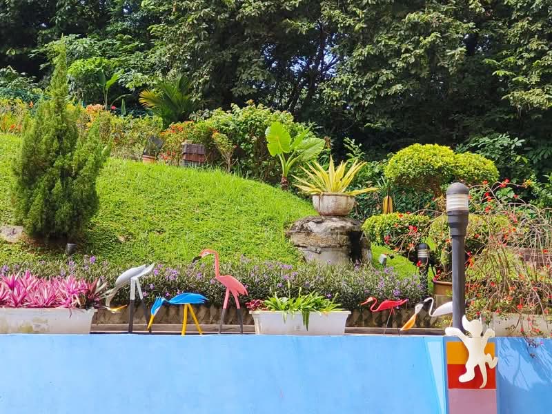Apartment for Rent at Parkview Towers - Vincent Tan - Garden - PropertyGuru.com.my