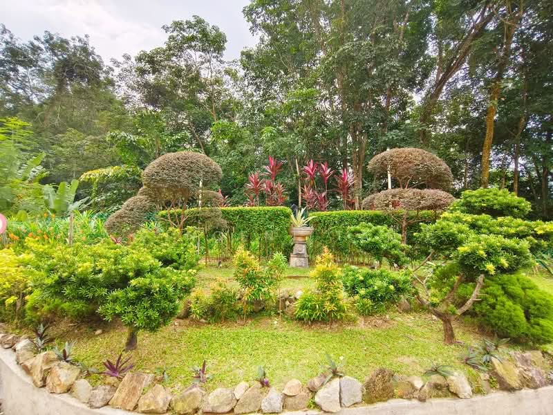 Apartment for Rent at Parkview Towers - Vincent Tan - Garden - PropertyGuru.com.my