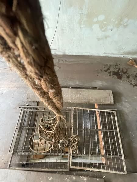 Kedai untuk Disewa di George Town (Penang) - Daniel Phang - Interior - PropertyGuru.com.my
