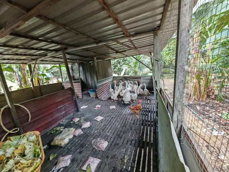 Tanah Pertanian untuk Disewa di Kota Tinggi (Johor) - Erica Ho - Exterior - PropertyGuru.com.my