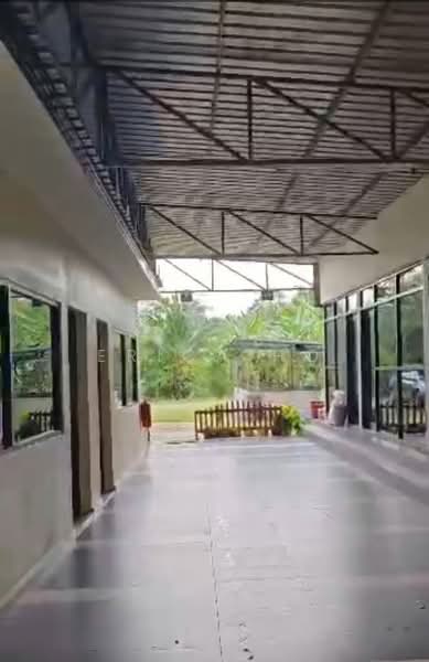 Tanah Pertanian untuk Disewa di Kota Tinggi (Johor) - Erica Ho - Exterior - PropertyGuru.com.my