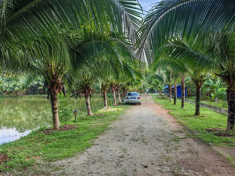 Tanah Pertanian untuk Disewa di Kota Tinggi (Johor) - Erica Ho - Exterior - PropertyGuru.com.my