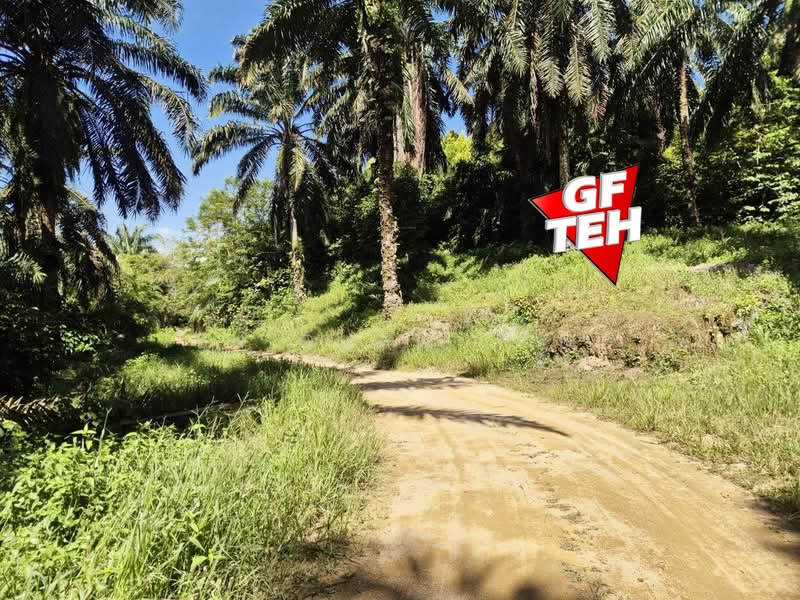 Agricultural Land for Sale in Selama (Perak) - Teh Guan Fong - Exterior - PropertyGuru.com.my