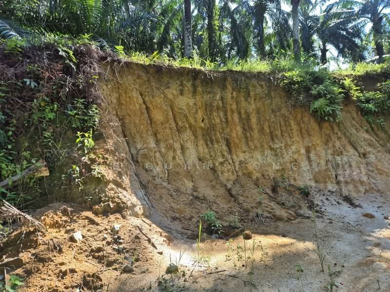 Agricultural Land for Sale in Selama (Perak) - Teh Guan Fong - Exterior - PropertyGuru.com.my