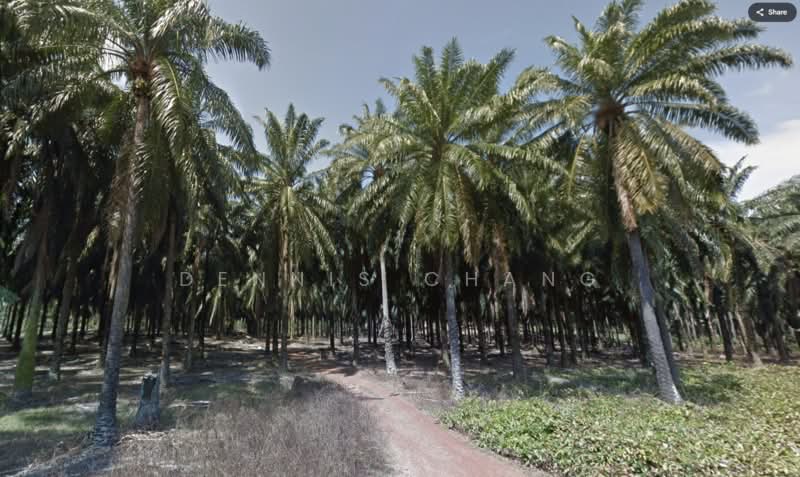 Agricultural Land for Sale in Taman Dengkil (Dengkil) - Dennis Chang - Others - PropertyGuru.com.my