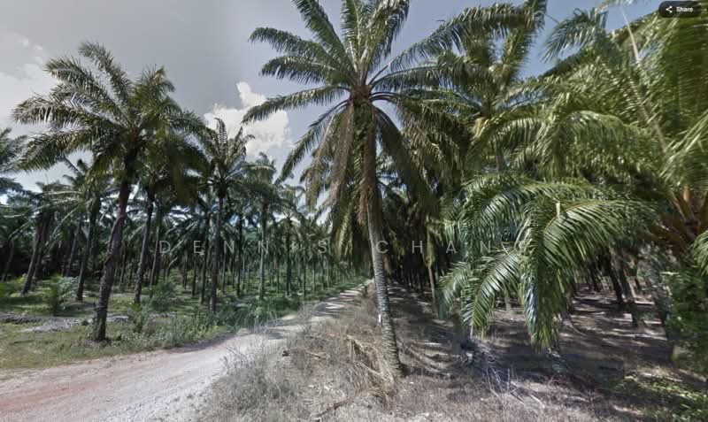 Agricultural Land for Sale in Taman Dengkil (Dengkil) - Dennis Chang - PropertyGuru.com.my