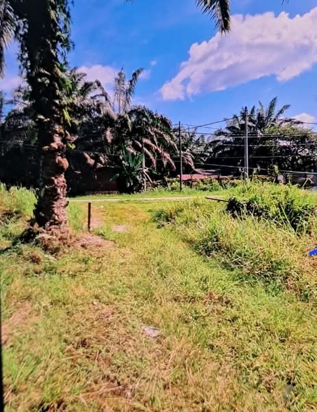Agricultural Land for Sale in Teluk Intan (Perak) - Jenny Choong - Exterior - PropertyGuru.com.my