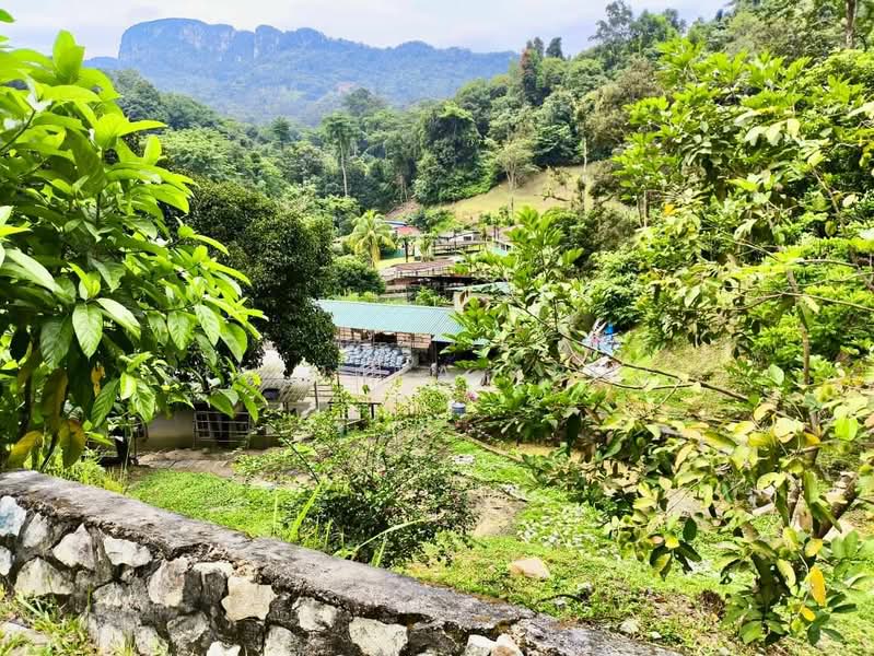 Agricultural Land for Sale in Ampang (Selangor) - Cik Maya Abdul - Exterior - PropertyGuru.com.my