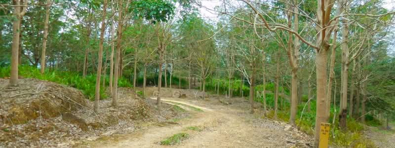 Agricultural Land for Sale in Kota Belud (Sabah) - Peggy Lim - Exterior - PropertyGuru.com.my