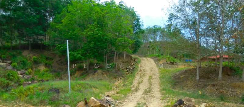 Agricultural Land for Sale in Kota Belud (Sabah) - Peggy Lim - Exterior - PropertyGuru.com.my