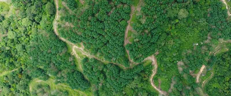 Agricultural Land for Sale in Kota Belud (Sabah) - Peggy Lim - PropertyGuru.com.my