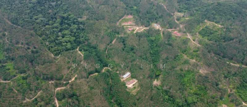 Agricultural Land for Sale in Kota Belud (Sabah) - Peggy Lim - Exterior - PropertyGuru.com.my