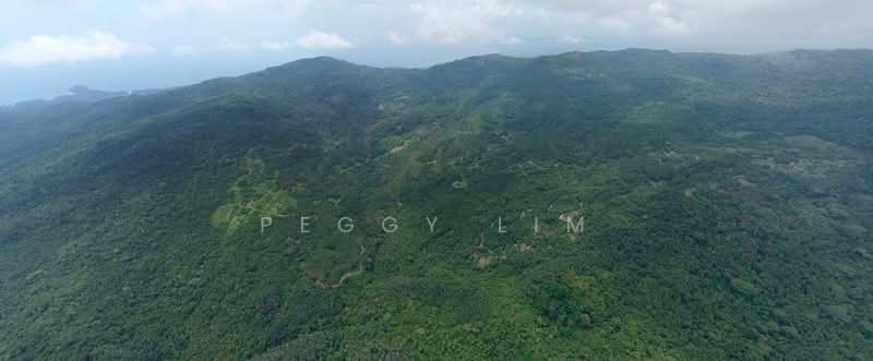 Agricultural Land for Sale in Kota Belud (Sabah) - Peggy Lim - Exterior - PropertyGuru.com.my