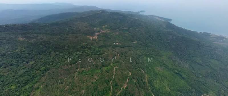 Agricultural Land for Sale in Kota Belud (Sabah) - Peggy Lim - Exterior - PropertyGuru.com.my