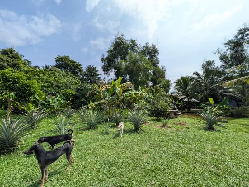 Tanah Pertanian untuk Dijual di Dengkil (Selangor) - Jik Wafa - PropertyGuru.com.my