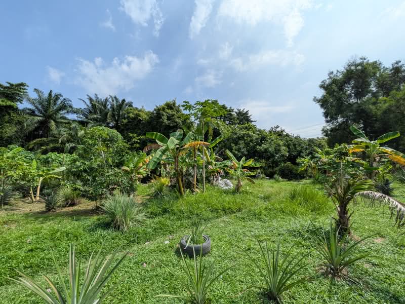 Tanah Pertanian untuk Dijual di Dengkil (Selangor) - Jik Wafa - PropertyGuru.com.my