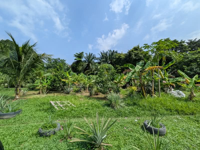 Tanah Pertanian untuk Dijual di Dengkil (Selangor) - Jik Wafa - PropertyGuru.com.my