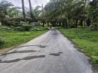 For Sale - 7.82 acre Agricultural Land | Oil Palm | Serdang | Kedah RM3.55 psf b