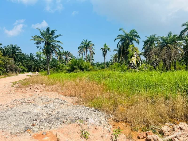 Tanah Pertanian untuk Dijual di Taman Pontian Jaya (Pontian) - Jasz Ong - Exterior - PropertyGuru.com.my
