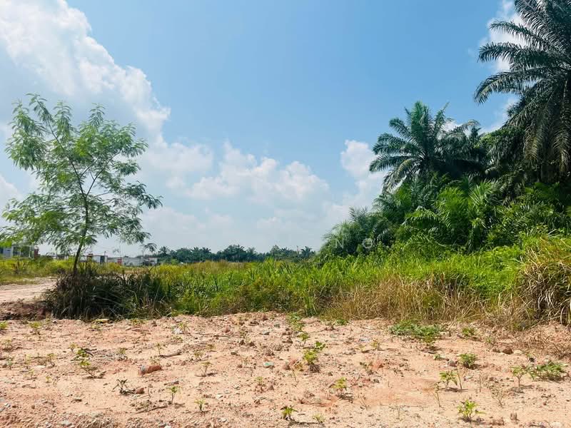 Tanah Pertanian untuk Dijual di Taman Pontian Jaya (Pontian) - Jasz Ong - PropertyGuru.com.my