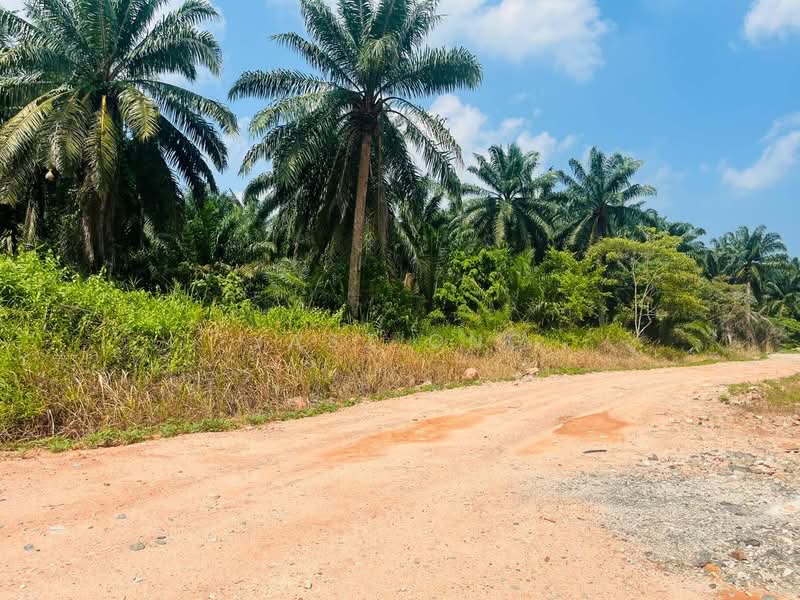 Tanah Pertanian untuk Dijual di Taman Pontian Jaya (Pontian) - Jasz Ong - PropertyGuru.com.my