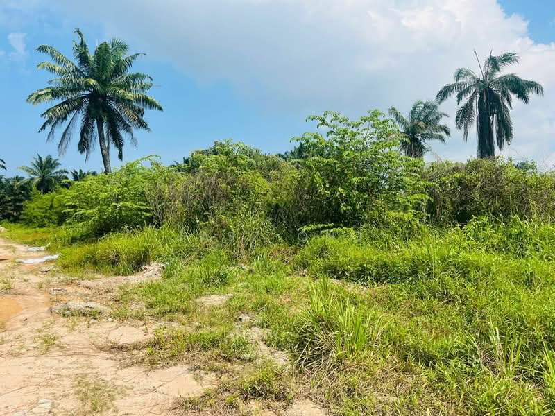 Tanah Pertanian untuk Dijual di Taman Pontian Jaya (Pontian) - Jasz Ong - PropertyGuru.com.my