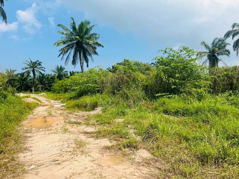 Tanah Pertanian untuk Dijual di Taman Pontian Jaya (Pontian) - Jasz Ong - PropertyGuru.com.my