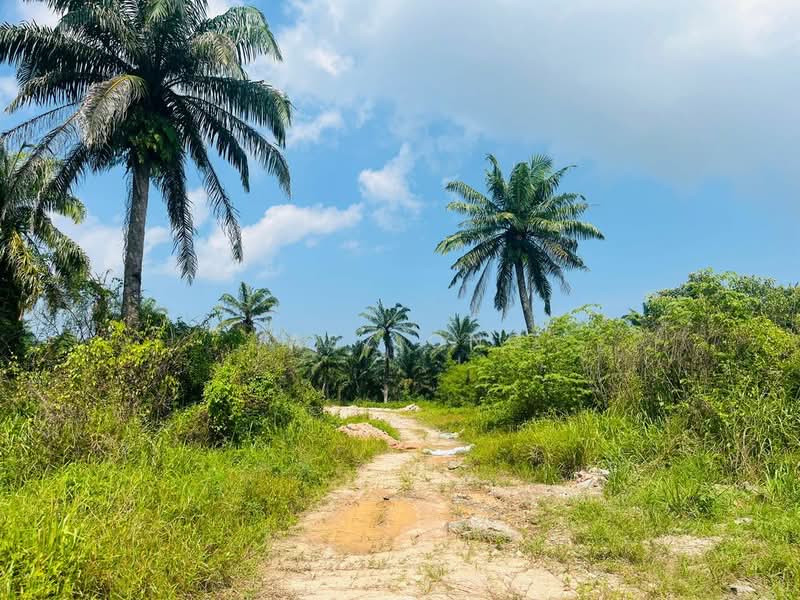 Tanah Pertanian untuk Dijual di Taman Pontian Jaya (Pontian) - Jasz Ong - PropertyGuru.com.my