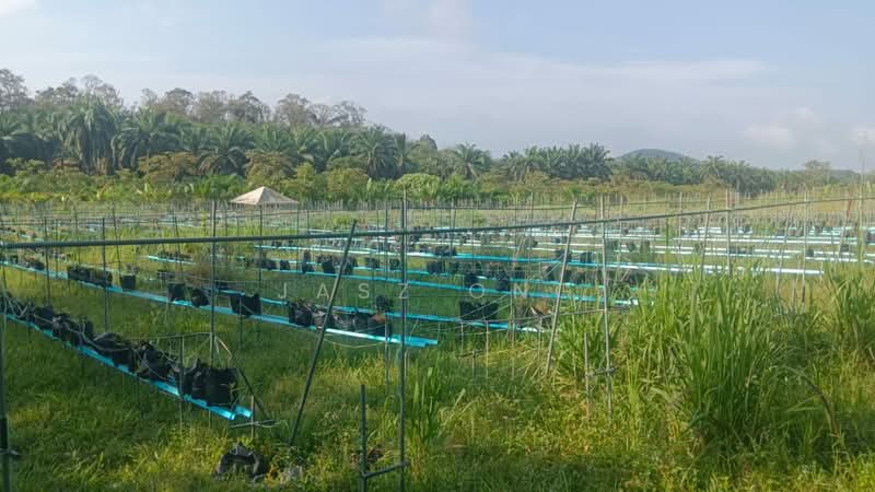 Tanah Pertanian untuk Dijual di Gemas Baru (Batu Anam) - Jasz Ong - Exterior - PropertyGuru.com.my