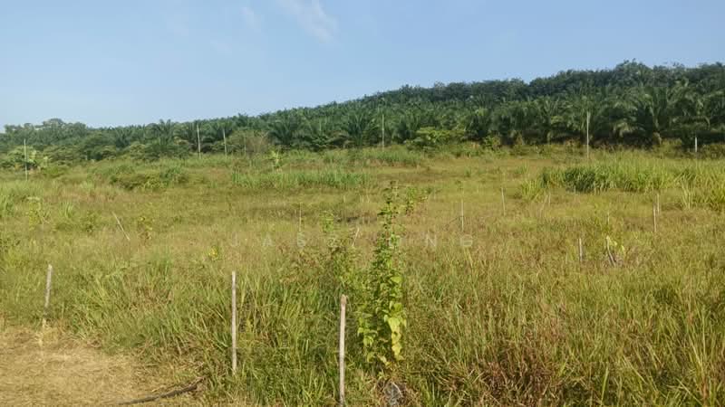 Tanah Pertanian untuk Dijual di Gemas Baru (Batu Anam) - Jasz Ong - PropertyGuru.com.my