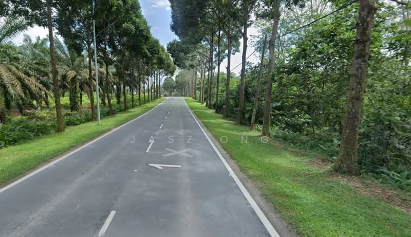 Commercial Land for Sale in Kampung Ayer Manis (Sedenak) - Jasz Ong - Exterior - PropertyGuru.com.my