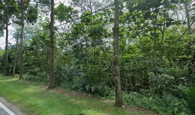 Commercial Land for Sale in Kampung Ayer Manis (Sedenak) - Jasz Ong - PropertyGuru.com.my