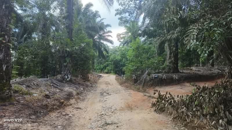 Tanah Pertanian untuk Dijual di Plentong (Johor) - Tryphaena Tan - Exterior - PropertyGuru.com.my