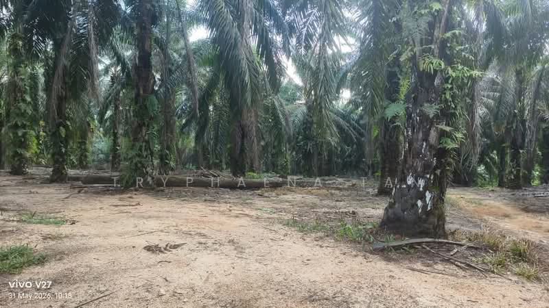 Tanah Pertanian untuk Dijual di Plentong (Johor) - Tryphaena Tan - Exterior - PropertyGuru.com.my