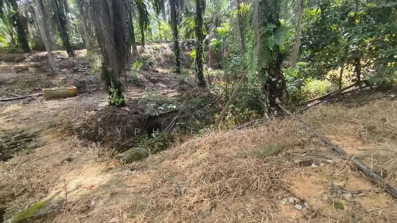 Tanah Pertanian untuk Dijual di Plentong (Johor) - Tryphaena Tan - Exterior - PropertyGuru.com.my