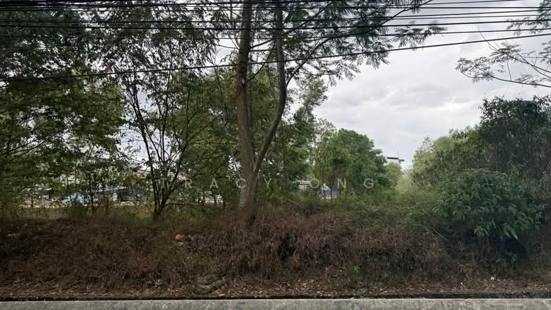 Industrial Land for Sale in Tampoi (Johor) - Tracy Ong - Exterior - PropertyGuru.com.my